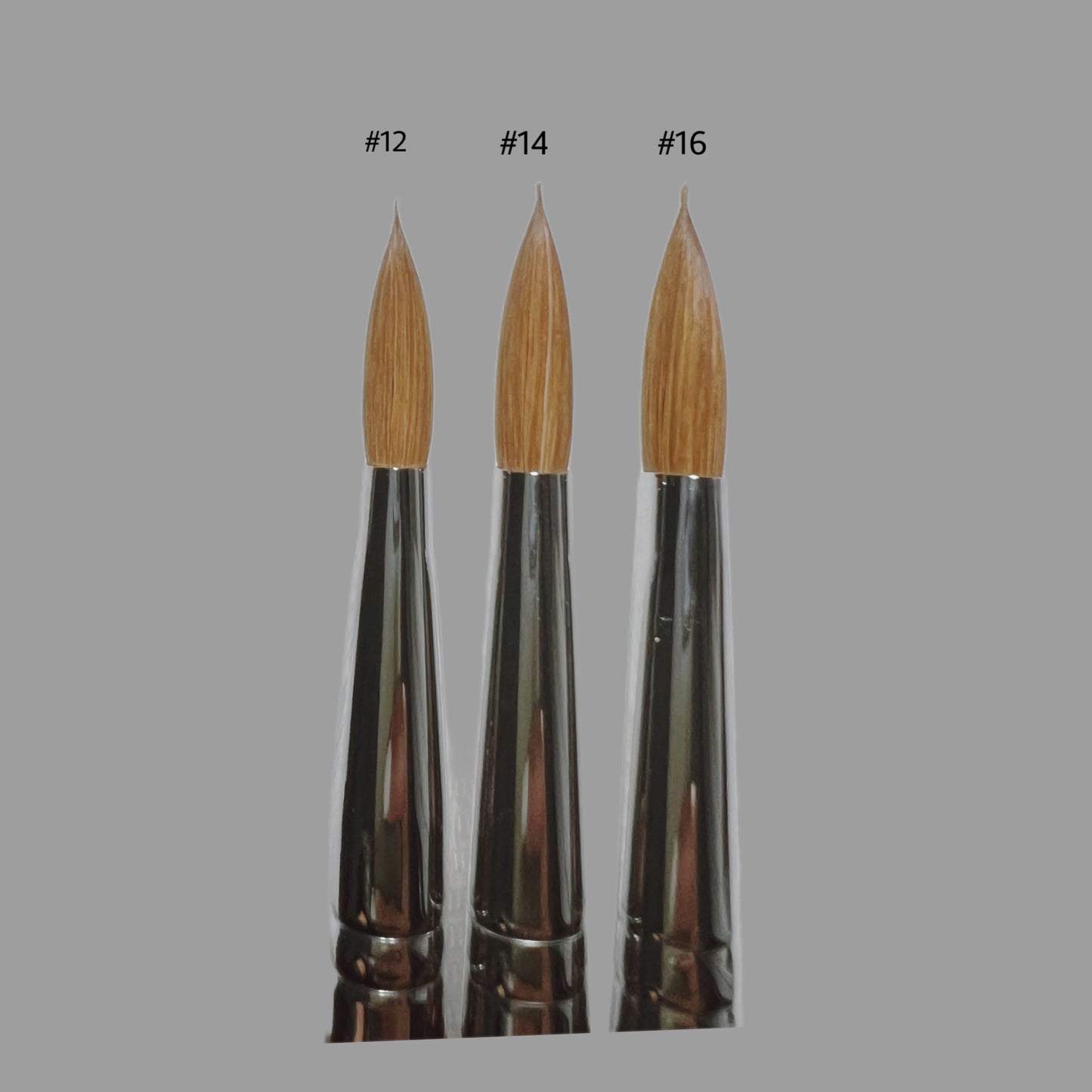 Acrylic Brushes (sizes #10 & #16)